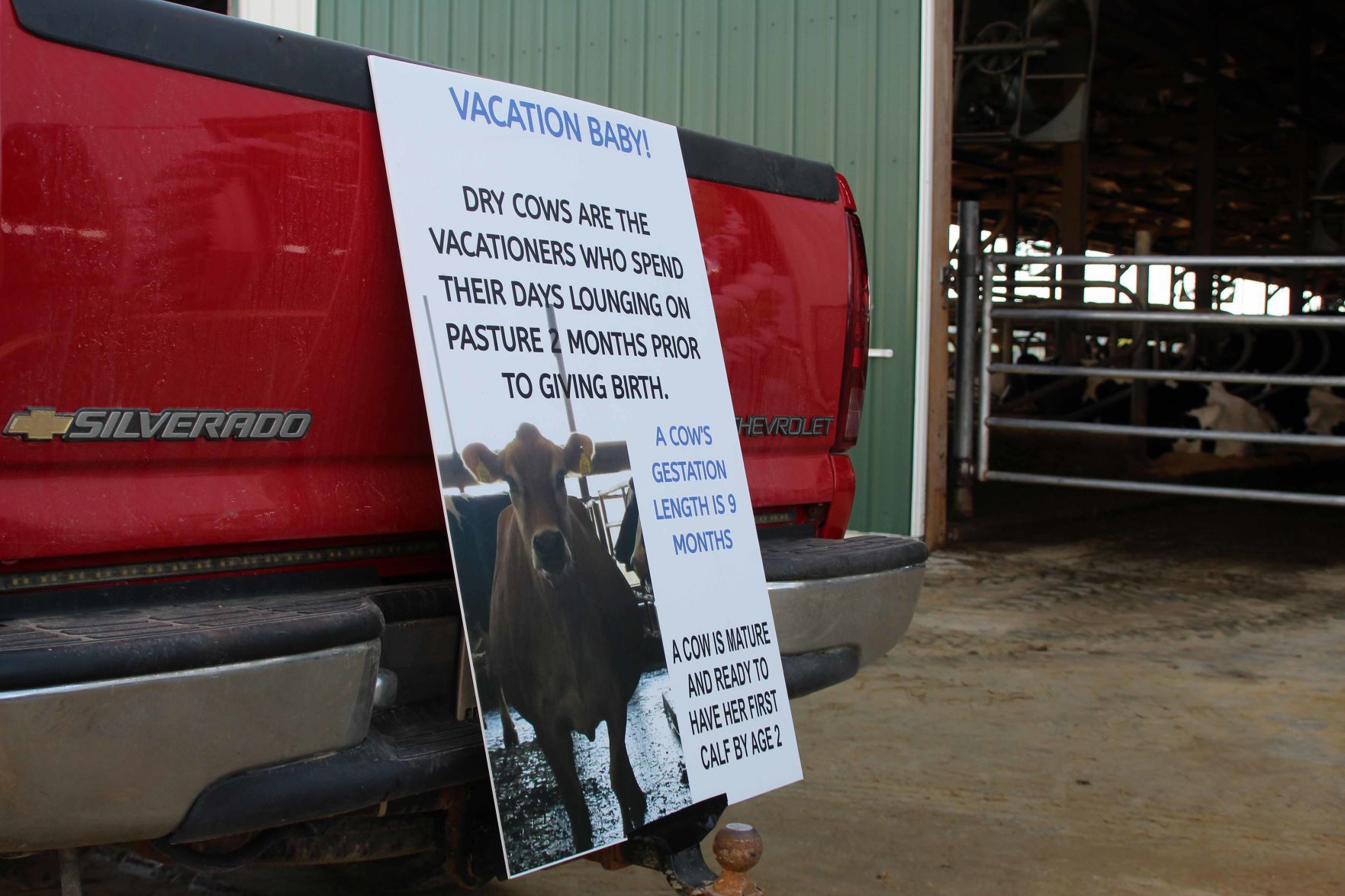 070220-star-gallery-dairy017.jpg